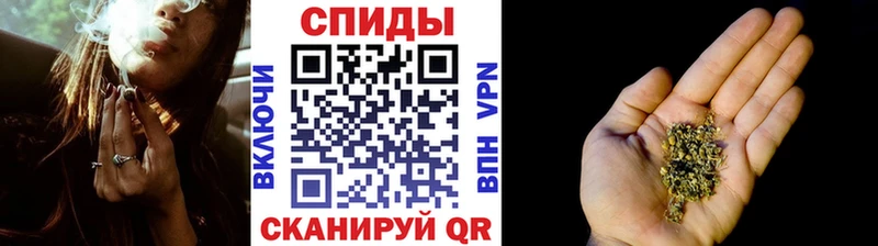 blacksprut как зайти  Южа  БУТИРАТ буратино 
