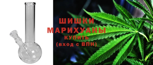 прущие грибы Абдулино