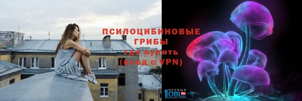 a pvp Абинск