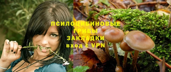 a pvp Абинск