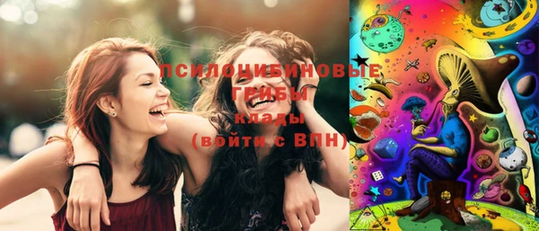 прущие грибы Абдулино