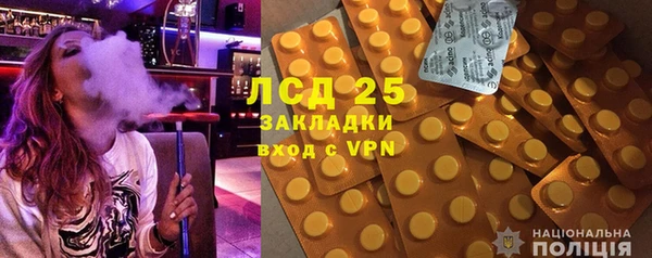 прущие грибы Абдулино