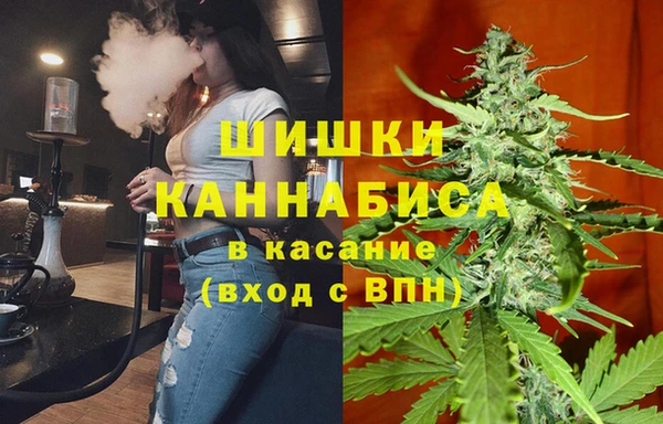 прущие грибы Абдулино