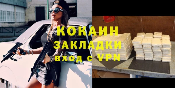 прущие грибы Нефтекумск