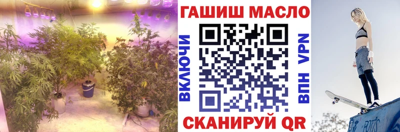 купить   Южа  ТГК THC oil 