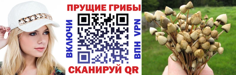 Псилоцибиновые грибы прущие грибы  где купить наркоту  Южа 